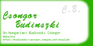 csongor budinszki business card